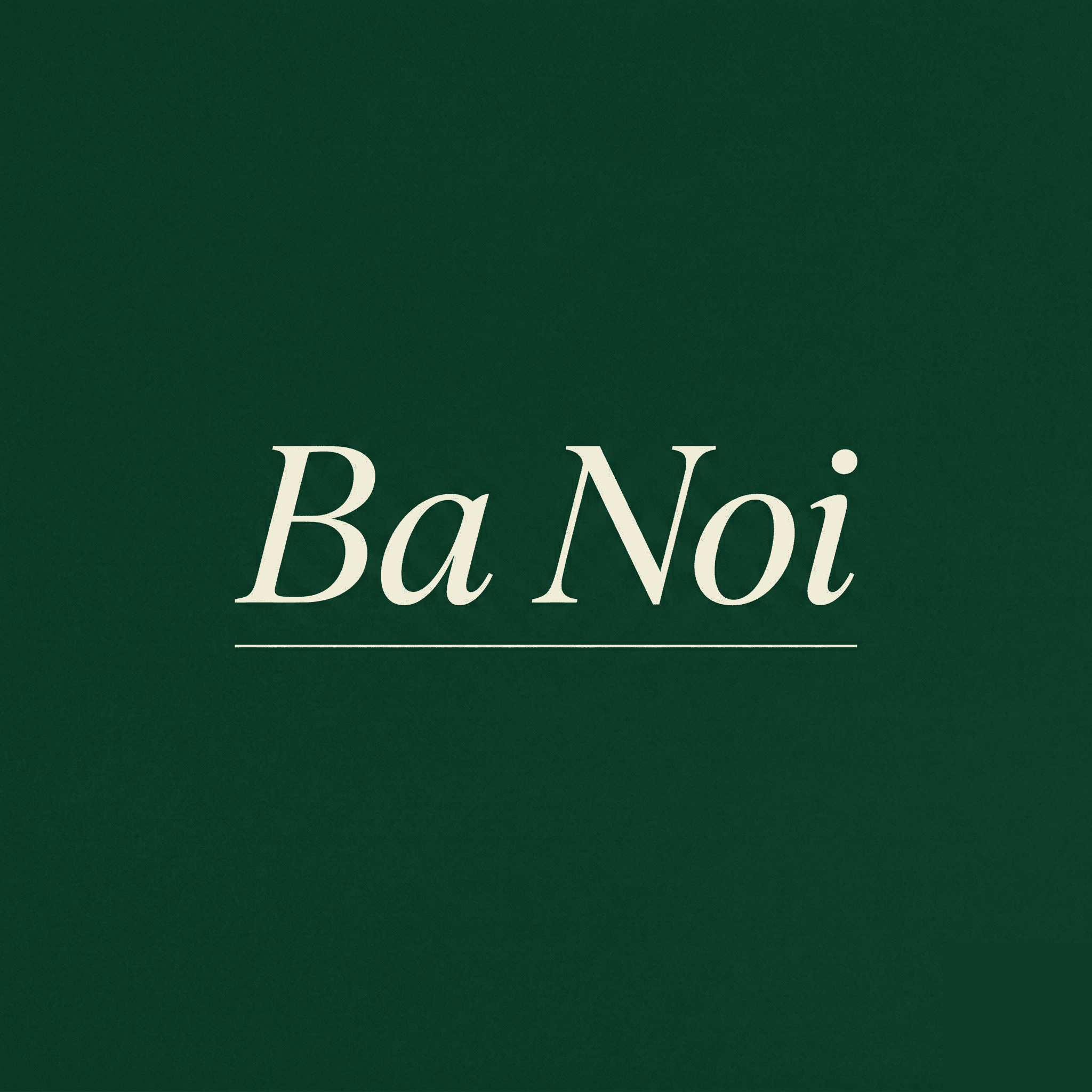 Bà Nội v2 – Vietnamesische Küche